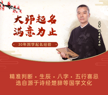 免费智能起名系统