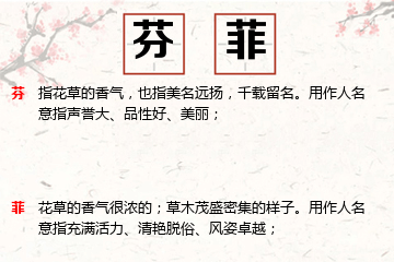 女孩五行喜木名字方案