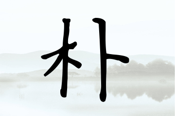 带朴字的男孩名字参考